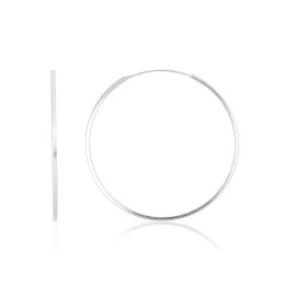 Hõbekõrvarõngad-ringikesed 2203953