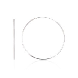 Hõbekõrvarõngad-ringikesed 2203954