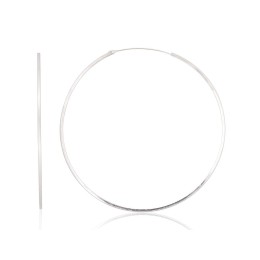 Hõbekõrvarõngad-ringikesed 2203956