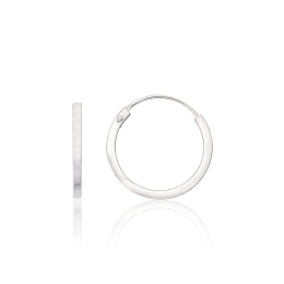 Hõbekõrvarõngad-ringikesed 2203963