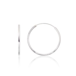 Hõbekõrvarõngad-ringikesed 2203967