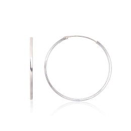 Hõbekõrvarõngad-ringikesed 2203969