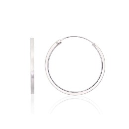 Hõbekõrvarõngad-ringikesed 2203985