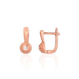 'Inglise' sulguriga hõbekõrverõngad 2204188(PAu-R)_CZ