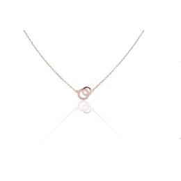 Hõbekaelaehe 2500130(PAu-R)_CZ