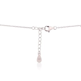 Hõbekaelaehe 2500131(PRh-Gr)_CZ