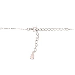 Hõbekaelaehe 2500134(PRh-Gr)_CZ+PL