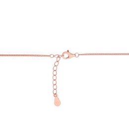 Hõbekaelaehe 2500136(PAu-R)_CZ