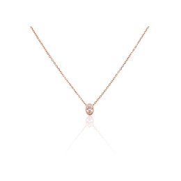 Hõbekaelaehe 2500148(PAu-R)_CZ