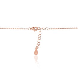 Hõbekaelaehe 2500152(PAu-R)_CZ