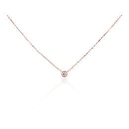 Hõbekaelaehe 2500152(PAu-R)_CZ