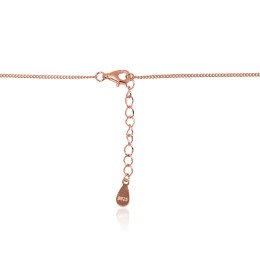 Hõbekaelaehe 2500158(PAu-R)_CZ+PE+PL