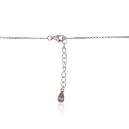 Hõbekaelaehe 2500158(PRh-Gr)_CZ+PE+PL