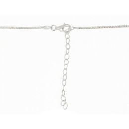 Hõbekaelaehe 2500159